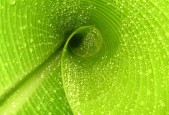 世界举重康复名师下沉计划效果评估报告发布，举重减项目
