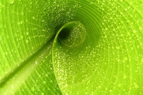 世界举重康复名师下沉计划效果评估报告发布，举重减项目