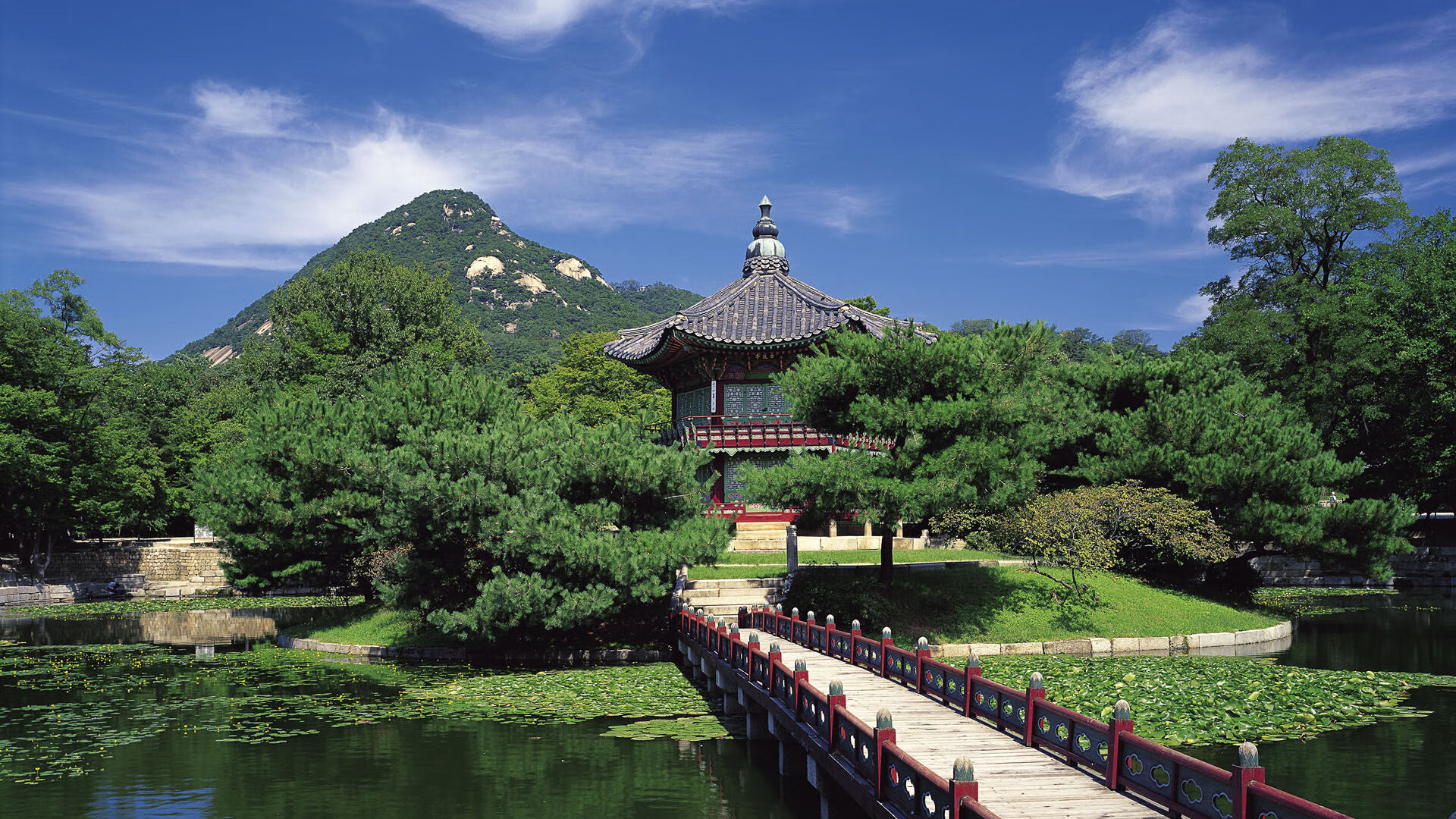 VR观赛成新潮流,球迷在家感受现场氛围,vr 观影